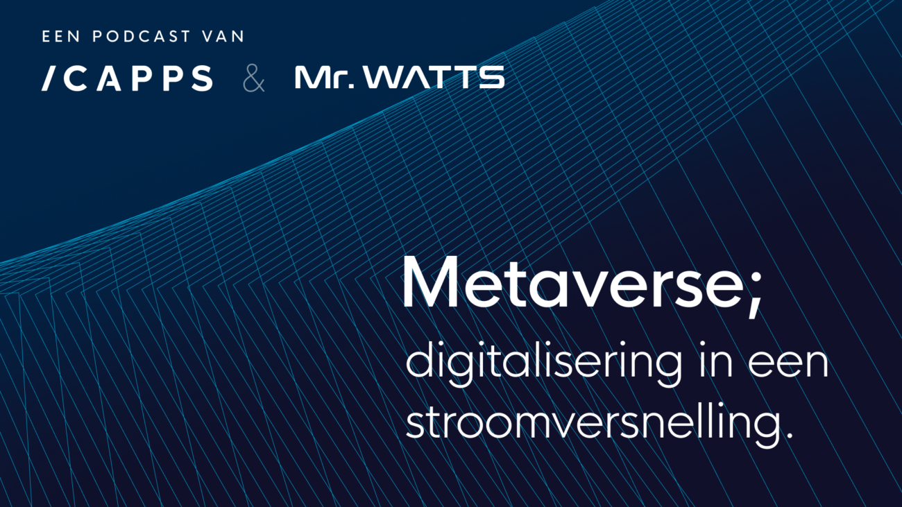 Metaverse Pancarte